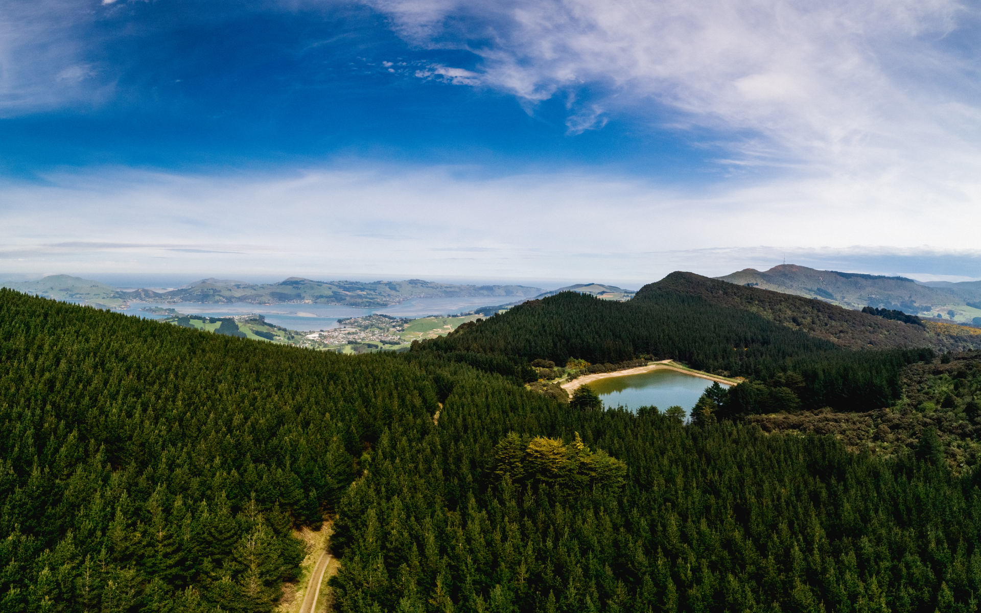 Imagery of on of the city's forests and small lake with the harbour and city in the background.